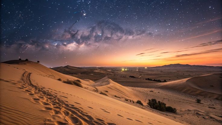 Tournament Leaderboard